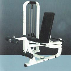 Leg Extension Machine Manufacturer Supplier Wholesale Exporter Importer Buyer Trader Retailer in Mumbai Maharashtra India